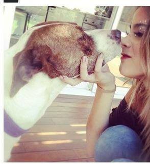 Tini con un perro
